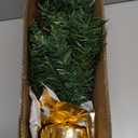 JOIEDOMI 24"/2FT Small Tabletop Christmas Tree with Lights with Star Treetop and Hanging Ornaments, Pre-lit Artificial Christmas Green LED Mini Tabletop Tree for Xmas Decorations Indoor Outdoor