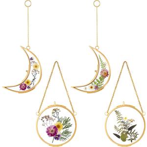 Qunclay 4 Pcs Pressed Flower Frames Bulk Double Glass Floating Hanging Photo Frame Sun Moon Clear Pressed Flower Decor with Chain for DIY Crafts Artwork Display Gallery(Gold,3.5 x 2.5 Inch)