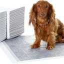 Basics Carbon OdorControl Dog and Puppy Pee Pads, 5Layer LeakProof Super Absorbent, QuickDry Surface, Potty Training, Regular (22x22"), 120 Count, Gray