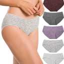 Altheanray Womens Underwear Cotton Seamless Soft Hipster Panties Ladies Mid Rise Bikini (Large)