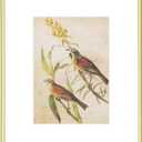 8.5x11 Picture Frame, Matte Gold Thin Aluminum Metal Photo Frame with HD Glass, Fits 5x7 with Mat or 8.5 x 11 without Mat, for Tabletop and Wall Mounting