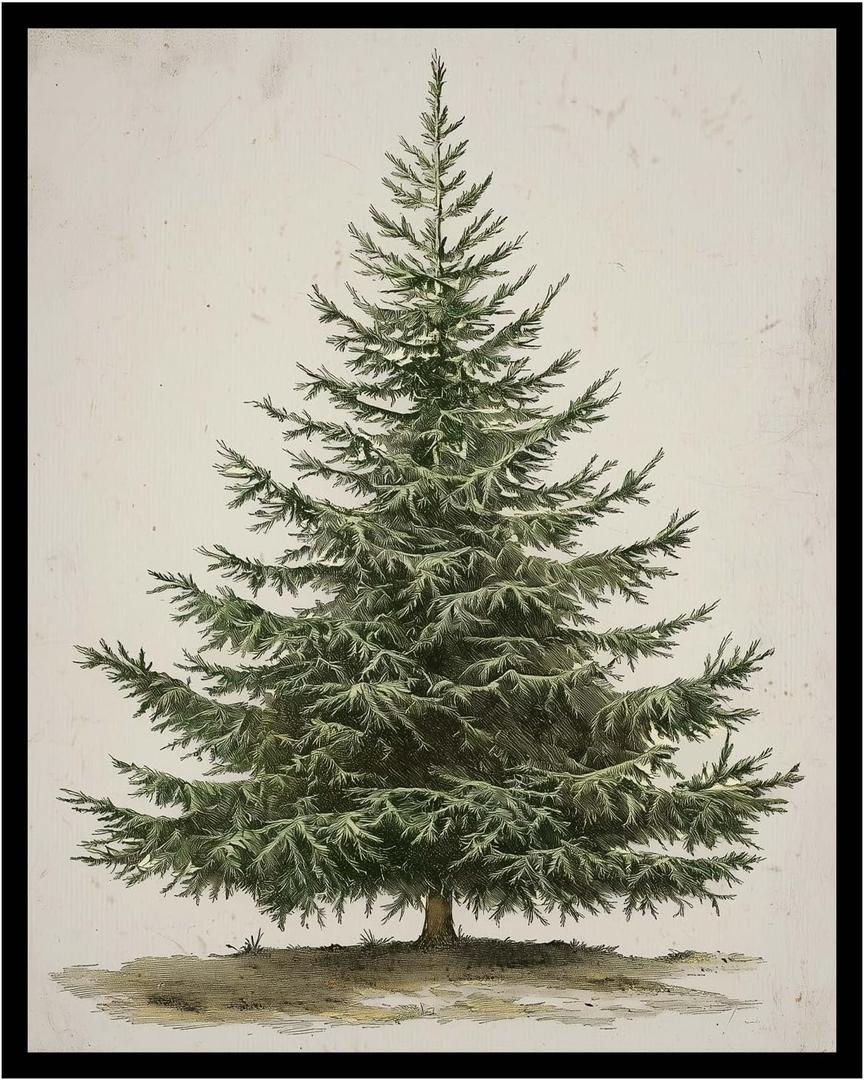 Generic Vintage Christmas Tree Print, Rustic Winter Tree Art, Botanical Holiday Decor, 8x10 inch + Black Framed