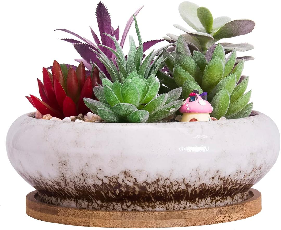 ARTKETTY Succulent Pots - 7.3 Inch Ceramic Bonsai Pot with Tray, Large Succulent Planters with Drainage, Shallow Planter for Indoor Cactus Plants Decorative Flower Plant Container Bowl (White) ARTKETTY Succulent Pots - 7.3 Inch Ceramic Bonsai Pot with Tray, Large Succulent Planters with Drainage, Shallow Planter for Indoor Cactus Plants Decorative Flower Plant Container Bowl (White)