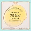 Cheribe Growth Oil For Hair + Scalp, 100% Chebe Complex + Rosemary Nourishes Roots, Soothes Dry Scalp & Boosts Growth, Lightweight Oil For All Textures 2A-4C & Porosities, Sulfate Free, 2.5 fl oz