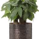MyGift 6 Inch Vintage Copper Tone Metal Vase, Flower Pot with Hammered Texture, Cylindrical Indoor Succulent Plant Container - Handcrafted in India