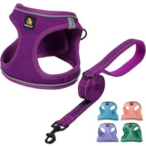BELLA & PAL Step in Vest Harness for Small and Medium Dogs, No Pull Small Dog Harness with Leash Set, Comfortable Air Mesh Dog Vest Harness with Reflective Strip (Grape Purple, XS)