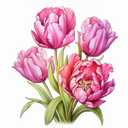 Floral Journey: Floral Journey Coloring Book