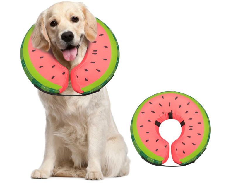 MIDOG Inflatable Dog Cone Collar Alternative After Surgery - Soft Protective Recovery Dog Cone for Dogs & Cats, Elizabethan Collar for Dogs to Stop Licking - Watermelon,L+ (L+(Neck:11"-14"))