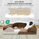 Comfort Expression Orthopedic Dog Bed for Extra Large Dogs 42x30 Inch, Waterproof Supportive Egg Crate Foam XL Pet Bed with Removable Bolsters, Dog Couch with Washable Cover & Non-Slip Bottom, Brown