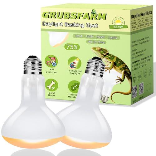 GRUBSFARM 75W UVA Reptile Heat Lamp Bulbs, Basking Spot Light for Bearded Dragon, Lizard, Tortoise, Chicks & Amphibians – Simulated Sunlight, Daylight Bulb for Aquariums & Tanks | 2 Pack, 2.5 Inch only one