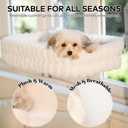 CHEERPALS Cat Window Perch for Indoor Cats Hammock for Window with Reversible Cushion, Foldable Cat Window Bed for Large Cats and Kittens(White, Medium)