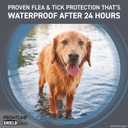 FRONTLINE Shield Flea & Tick Treatment for Large Dogs 41-80 lbs. Count of 6 (Purple Box)