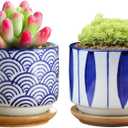 GeLive 3 Inch Ceramic Succulent Planter, Cactus Plant Pot, Flower Container with Bamboo Drip Tray, Indoor Outdoor, Set of 2 (Wave and Blue Flower)