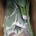 Nearly Natural 23-In Variegated Hosta Artificial Plant, Green