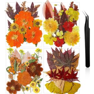Nuanchu Fall Pressed Flowers Bulk Dried Flower for Crafts Autumn Orange Dried Wildflowers Natural Leave with Tweezer Fall Craft Supplies for Resin Mold Scrapbooking Nail Soap Making DIY Art Crafts (Vivid Color)