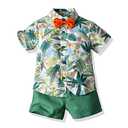 JunNeng Toddler Baby Boy Shorts Sets Hawaiian Outfits,Tropical Floral Short Sleeve Shirt +Elastic Shorts Vacation Clothes,Light Green 18-24 Months