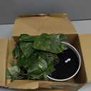MY ROVALA Silk Plants for Home Decor Indoor in Pot Realistic Artificial Plants Hanging Faux Plants Indoor Fake Potted Plants for Shelves Bedroom Bathroom Trailing Plant, Fake Pothos Ivy (Dark Green)