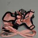 rabbitgoo Cat Harness and Leash for Walking, Escape Proof Soft Adjustable Vest Harnesses for Cats, Easy Control Breathable Reflective Strips Jacket, Light Salmon Pink, XS