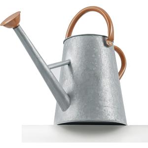 Metal Watering Can with Removable Spout, 1.5 Gallon Large Watering Cans for Plants, Galvanized Steel Gardening Water Can for Indoor & Outdoor Use, Watering Pot with Ergonomic Movable Handle(Silver)
