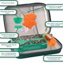 Kids Lunch Box Bag Set - 3D Dinosaur Lunch Bags for Boy with Containers Reusable Complete Lunch Kit Included 3-Compartment Lunchbox Leakproof Insulated Lunchbag Sets for Toddler School Lunch Supplies