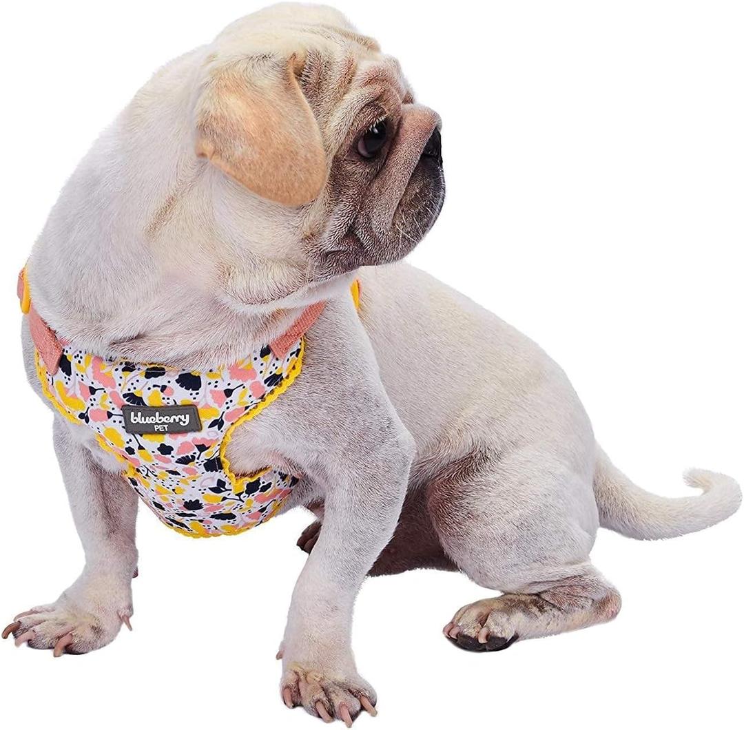 Blueberry Pet Soft & Comfy Made Well Blooming Floral No Pull Mesh Dog Harness Vest in Creamy White, Chest Girth 17.5"-21", Small, Adjustable Harnesses for Dogs