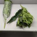 FOREST PRINCE 35" Ferns Artificial Bush Plants Large, 2 Artificial Boston Ferns with 39 Fronds for Outdoors Home Decor