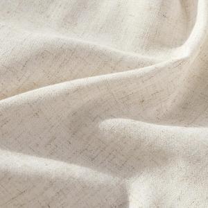 Beige Curtain 71x51 Inc 