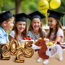 Blank Dachshund with Graduation Cap Toys Autograph Stuffed Dog Class of 2026 Graduated Plush Stuffed Teddy Animal Dog for Graduation Day Gift(Dachshund)