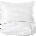 TECHTIC 2 Pack Queen Size Bed Pillows for Sleeping 20 x 30 Inches,White
