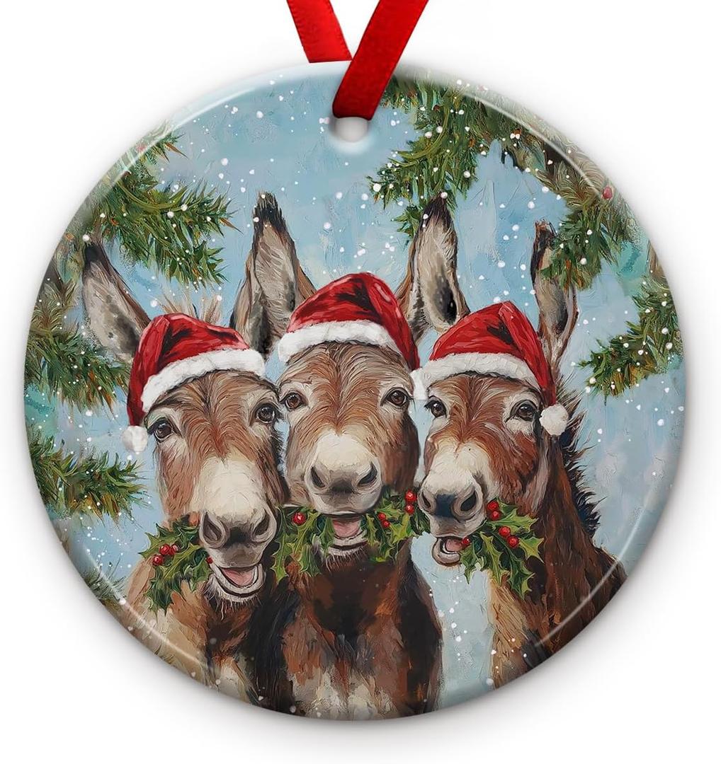 Funny Donkey Christmas Ornament, Rustic Farmhouse Holiday Decor, Donkeys with Santa Hats, Cute Donkey Lover Gift, Ceramic Tree Decoration, Rustic Christmas Keepsake, Xmas Ideas