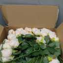 Jexine 100 Pieces Artificial Roses Flowers Bulk, Long Stem Realistic Fake Silk Roses Bouquet for Table Centerpiece Vases Wedding Party Kitchen Decor(Beige)