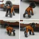 Winter Waterproof Dog Snowsuit  Full Body Outdoor Jacket with Leash Ring, Fleece Lining, Windproof Reflective 4-Leg Dog Coat for Small to Large Dogs Mustard Yellow XXL (XXL (Back Length 19.5"))