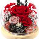 FIACO Gifts for Women Mom Birthday Preserved Flowers in Glass Dome Forever Fresh Flowers for Delivery Mothers Day Eternal Roses Gifts for Grandma Wife Daughter Friends Red