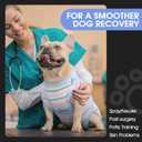 FUAMEY Recovery Suit for Dogs After Surgery,Soft Breathable Dog Bodysuit E-Collar & Cone Alternative Surgical Suit,Male Female Dog Neuter Spay Suits Anti Licking Wounds Onesie Blue Yellow Stripes, M