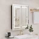 Medicine Cabinet, LED Mirror Cabinet for Bathroom with 3-Color with Mirror Defog, Recessed or Surfaced Wall-Mounted (24X30)