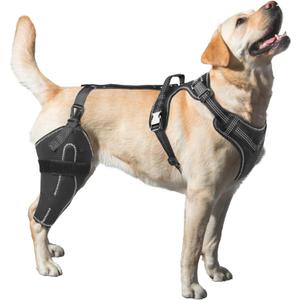 Dog Knee Brace for Torn ACL, Luxating Patella, Arthritis Support, Metal Splint Hinged Leg Brace for CCL Injury, Size M