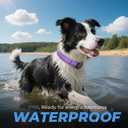 Waterproof AirTag Dog Collar - Reflective Comfortable Dog Collars with Air Tag Holder - GPS Dog Tracker Collar with Quick Easy Install - for Large Medium Small Dogs(Purple, XL)