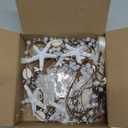 Catery Starfish Headband Seashell Mermaid Crown Headpiece Pearl Beach Wedding Hair Accessories for Women