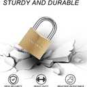 CINCINNO Solid Brass Padlock with Key, Key Lock with 1-9/16" Wide Body, 2 Pack Keyed Alike Locker Lock with Key