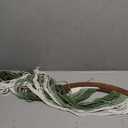 Mindsoft Green Macrame Wall Hanging Dip Dyed Yarn Wall Art, Modern Boho Decor Handmade Cotton Rope Tapestry for Bedroom, Living Room, Nursery, 31.5 x 23.6 Inch, 32.3"L x 5.1"W