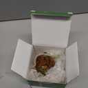 Hand Blown Glass Gazing Balls for Garden Hanging 2.3" Friendship Balls Christmas Ball Ornaments for Xmas Tree Decoration (Red - A)