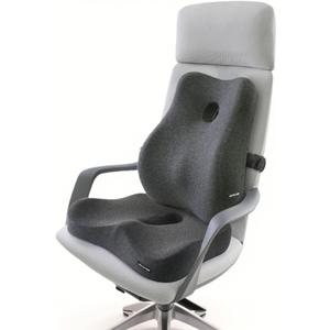 Seat Cushion and Lumbar Support Pillow Set, Sciatica Relieving Coccyx Cushion, Hemorrhoid Cushion, Chair Back Support, Ergonomic Cushion & Pillow, Office Chair Cushions for Back and Butt (Dark Grey)