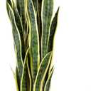 Artificial Snake Plant 25Inch Fake Sansevieria Faux Silk Potted Plant Artificial Mother in Law Tongue Plant for Indoor Outdoor Home Office Garden Decor Yellow