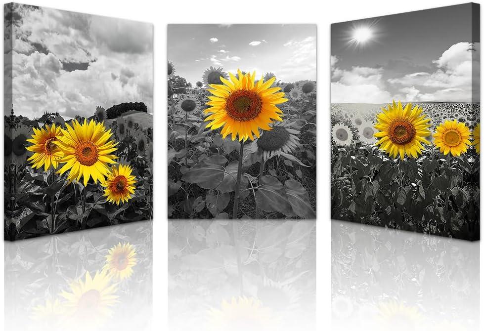 Lapremoly Large Canvas Wall Art For Living Room Decoration For Bedroom Black And White Sunflower Flowers Painting Framed Wall Decor For Kitchen Bathroom Modern Artwork Home Decor Pictures (24L" x 16W")
