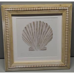 Art Framed Canvas Wall Art 22x22 Oceanum Shells