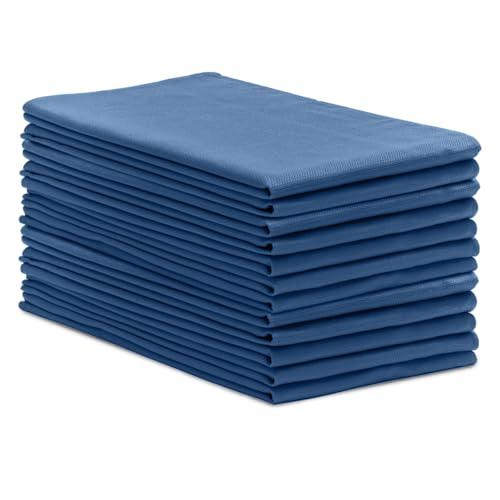 Avalon Towels Surgical Huck Towels (Pack of 12) Size 17x26 Inches, 100% Cotton Cleaning Cloths, Multi-Purpose, Perfect for Hospitals and Home (Blue)