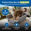 KittyGoHere Senior Cat Litter Box Jumbo Low Entry Open Top, Misty Gray