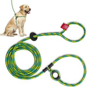 Harness Lead No Pull Dog Harness and Leash Set, Anti Pull Dog Harness, One-Piece Cushioned Rope Safely Prevents Escaping and Pulling (Medium/Large, Rainforest) (Rainforest (Olive/Lime/Turquoise))