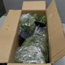 24inch Artificial Ceder Topiary Tree, Artificial Shrubs for Outdoors with Ground Spike, Faux Outdoor Shrubs Potted, Hold Nature Fake Bushes for Front Porch (Set of 2)