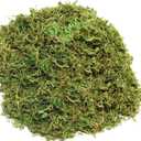 10OZ Fake Moss Artificial Moss for Potted Plants Greenery MossHome Decor Fairy Garden Crafts Wedding Decoration (Fresh Green)